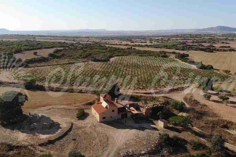 Farm hus i Almansa, Albacete, Almansa - € 560.000 | Ref: SF0516 - foto 1